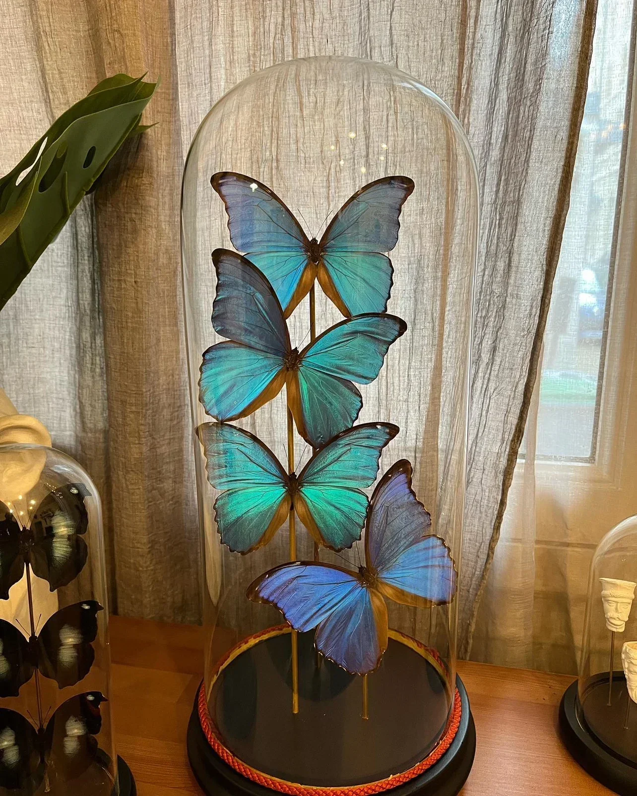 Mint Green Blue Butterfly Glass Cover Customized Finished Design Furniture Furnishing Articles Gift