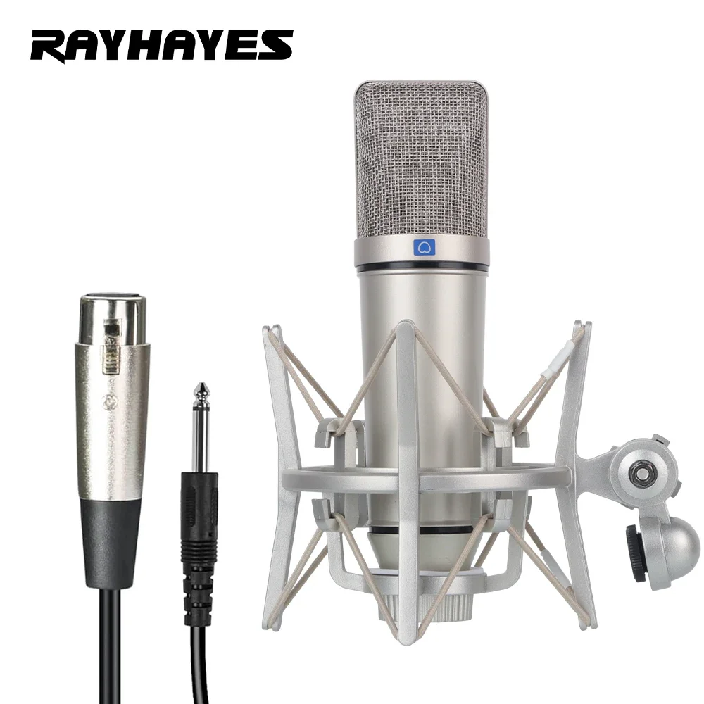 RAYHAYES U87S Professional Condenser Microphone Cardioid Pickup Pattern With Shock-Absorbing Stand