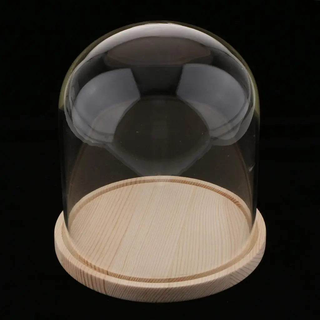 Glass Jar Dome with Wooden Base Micro Landscape Holder Elegant Centerpiece Vase for Interior Decoration Home