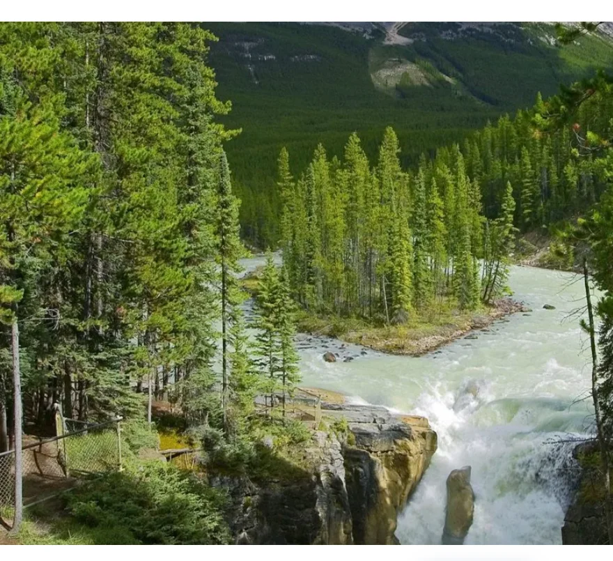 

T-MOTOR Cine66 PRO 2207 1100KV Двигатель 3-6S с низким уровнем шума, сверхгладкий для FPV Freestyle Long Range Cinewhoop Drone