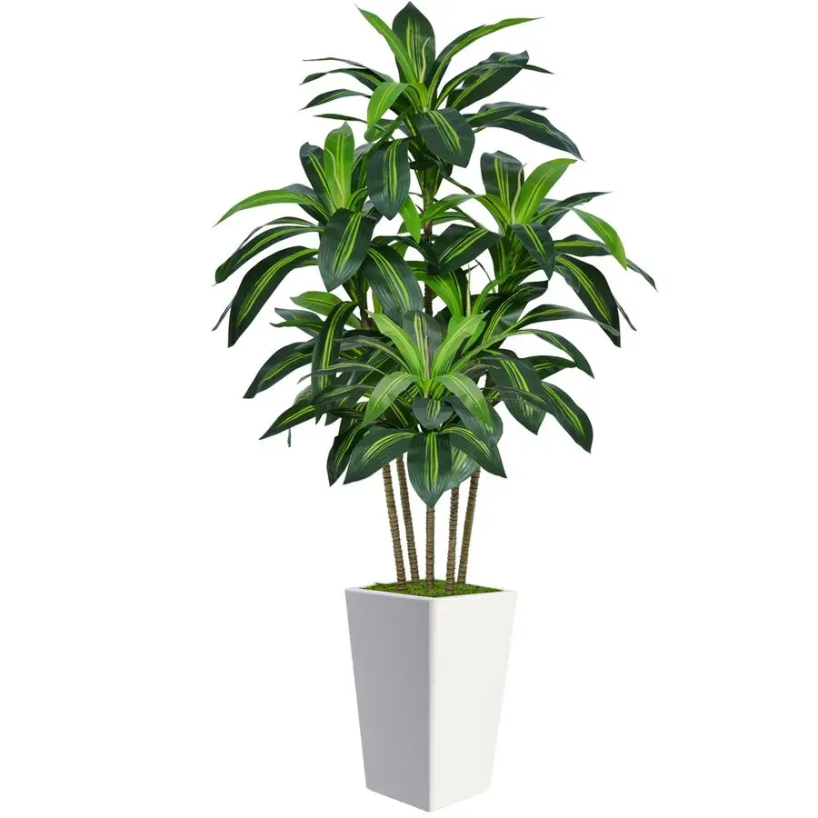 

6FT Artificial Dracaena Tree, Fake Tree Indoor with White Tall Planter,Tall Artificial Plants Indoor,Artificial Silk Tree for H