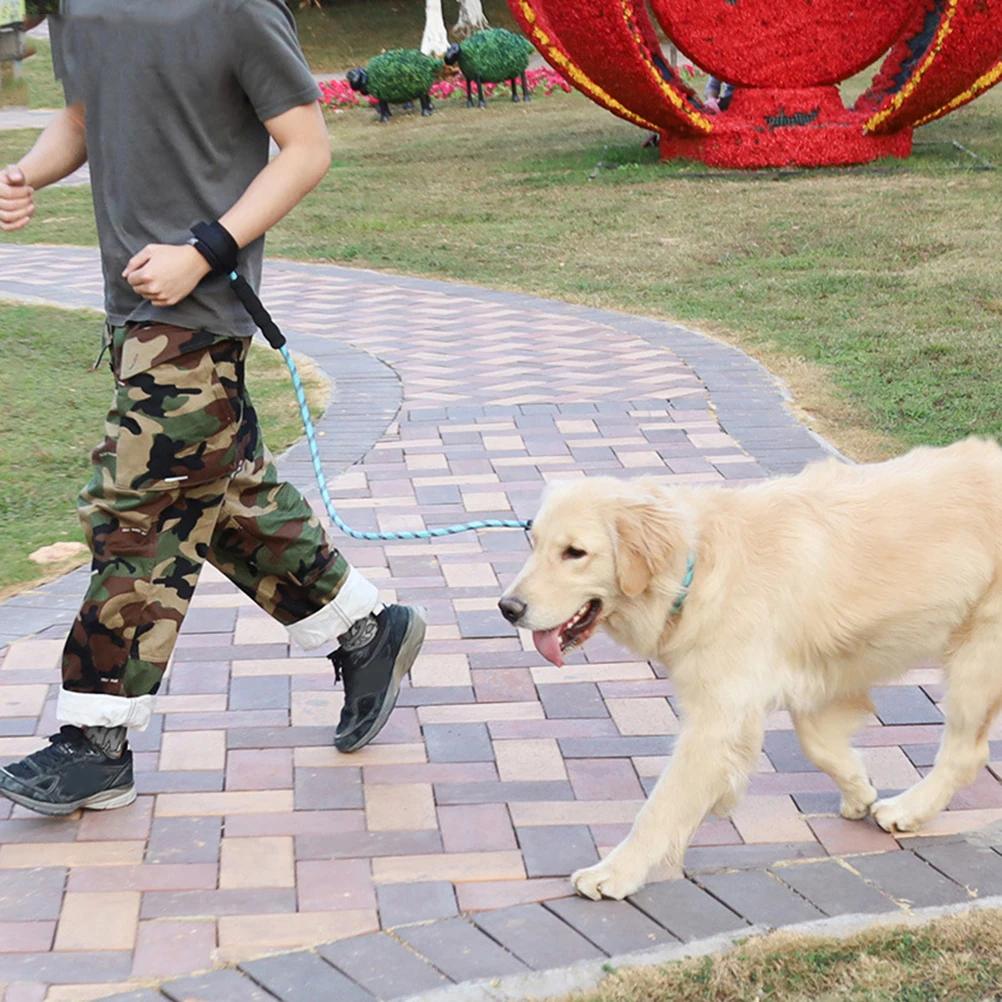 

Dog Nylon Leash Traction Rope Pet Supplies Reflective Pulling Cat Hauling Cable Long Lasting Ergonomics H Safety