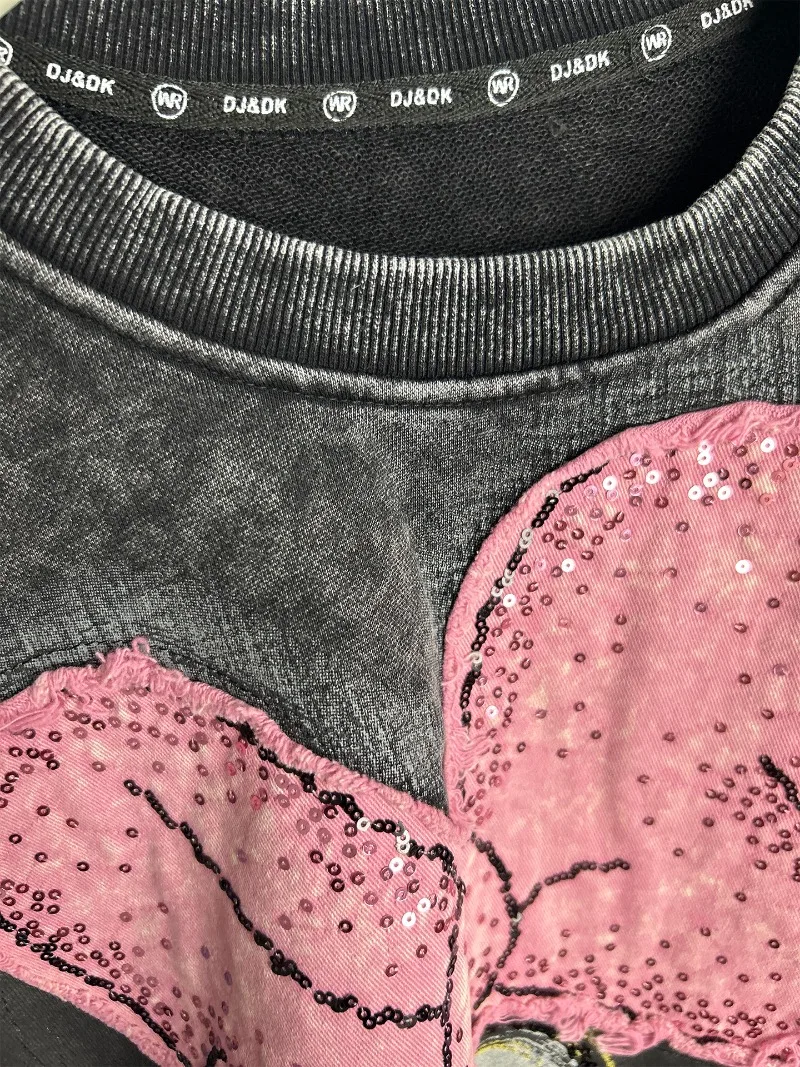Heavy Embroidery Cartoon Age-Reducing Loose Pullover Sweatshirt Long Sleeves Coat Women's 2025 Autumn Winter New O-neck Hoodies