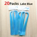 20 bag Lake blue