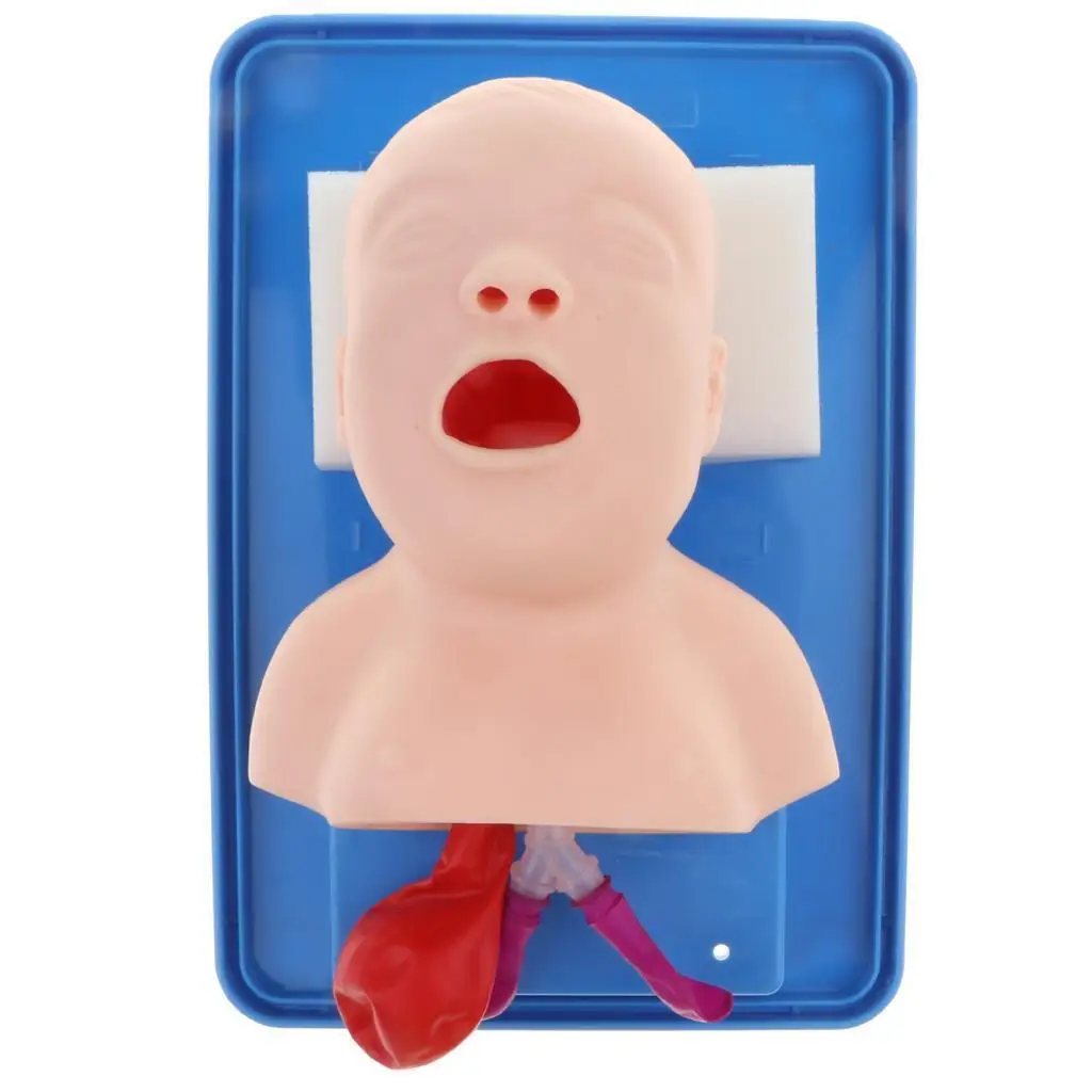 Newborn Neonatal Tracheal Intubation Model Teaching Aid Infant Airway Management Trainer for Intubation Training Mannequin