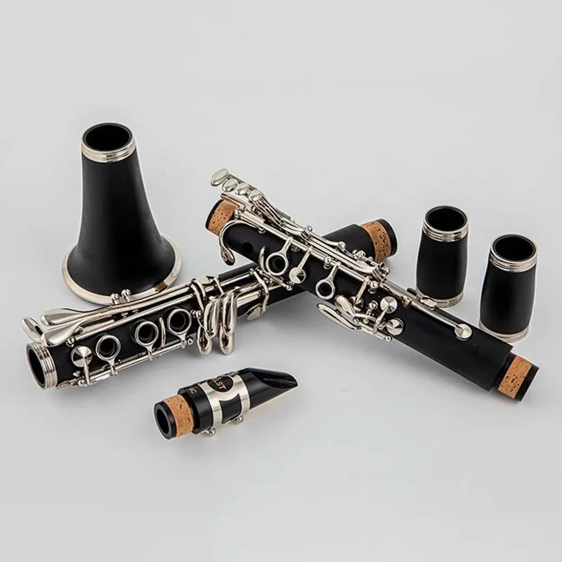 

B Flat Clarinet Professional 17 Keys Clarinet Adults Beginners Clarinets Portable Detachable Woodwind Instruments with Carry Bag