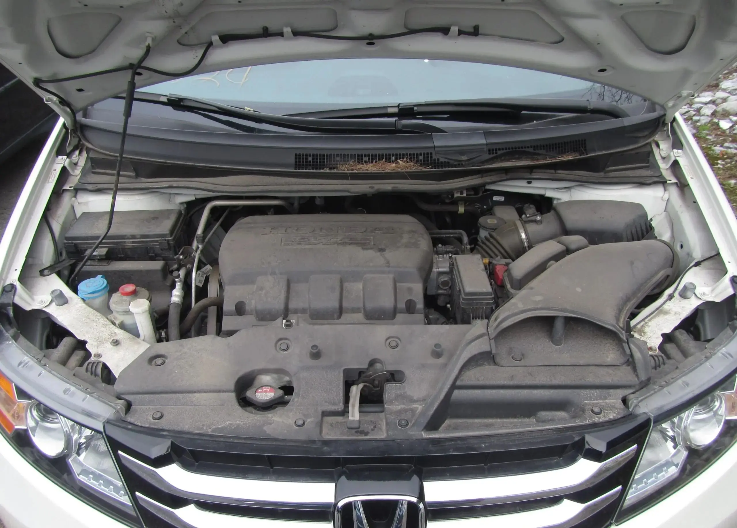 

Hood Struts For Honda Odyssey RL5 2011-2017 North America Version Front Bonnet Modify Gas Struts Lift Support Shock Piston Rods