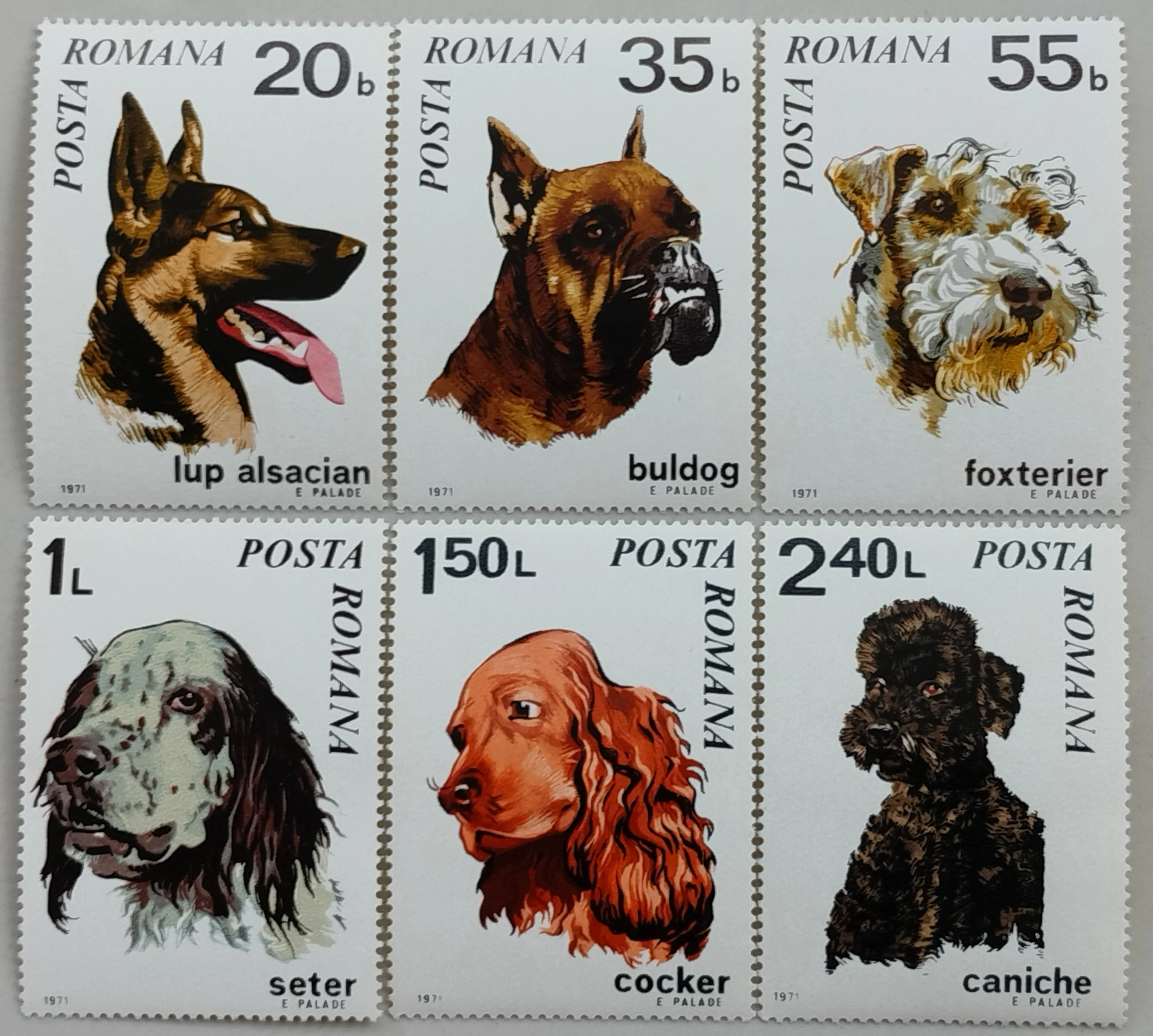 Romania Post Y1971 German Shepherd Bulldog Fox Terrier Dog Poodle Set 6 New Collectible Postage Stamps Material For Scrapbooking