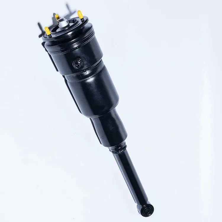 

Factory Direct Selling for Lexus LS460 LS600 Rear Air Suspension Shock Absorber 48080-50211 48080-50200 Brand Packaging 2-3 Days