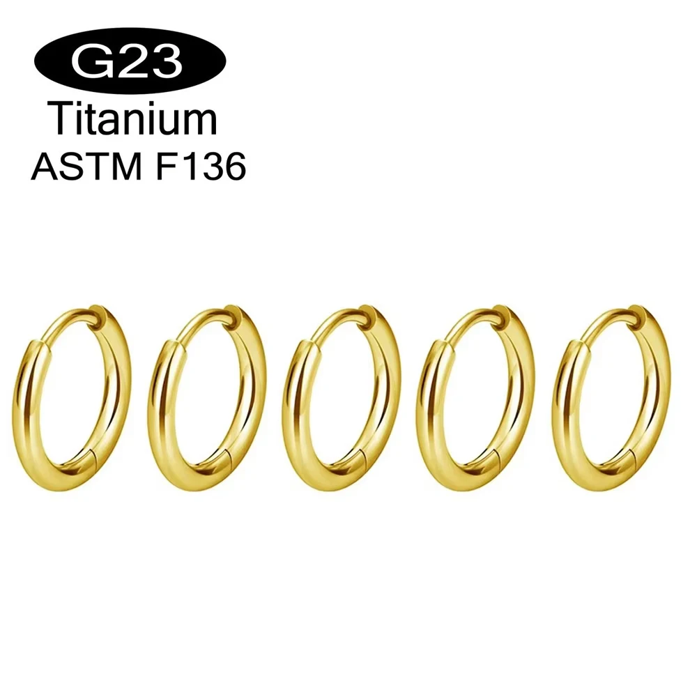 1/5PCS ASTM F136 G23 Titanium Earring Hoop Nose Ring Hinged Segment Round Nose Ring For Women Anodizing Piercing Jewelry