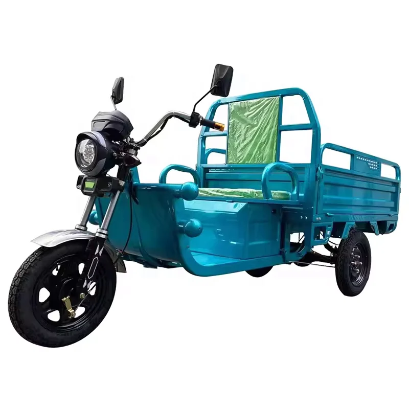 Made in CHINA Tricycle Cargo Truck Multiple Color in Stock Cargo Electric Tricycle Stainless Steel Three Wheel