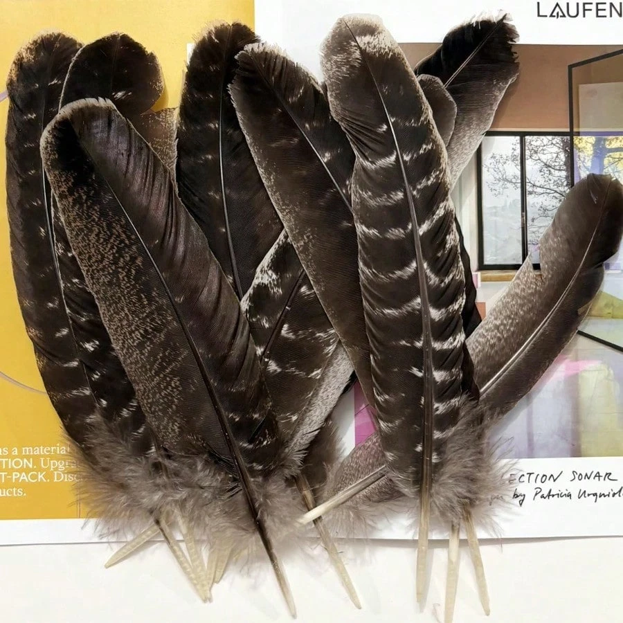 

Wholesale Natural Eagle Feathers 20-35cm Bird Feathers for DIY Crafts Wedding Decoration Turkey Pheasant Plumes