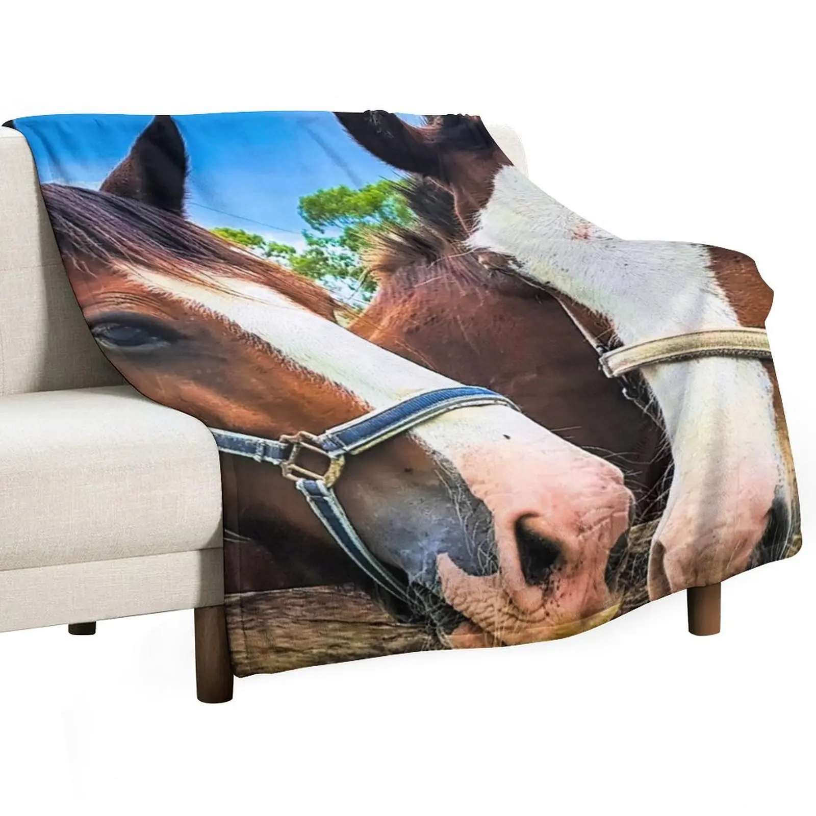 

Clydesdales Posing Throw Blanket Nap sofa bed Luxury Thicken Kid'S Blankets