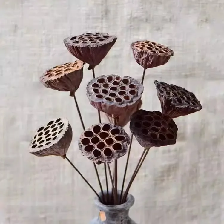 Natural Dried Lotus Flowers office decoration flower arrangement Home Party Decor Photo Prop Photography Shoots