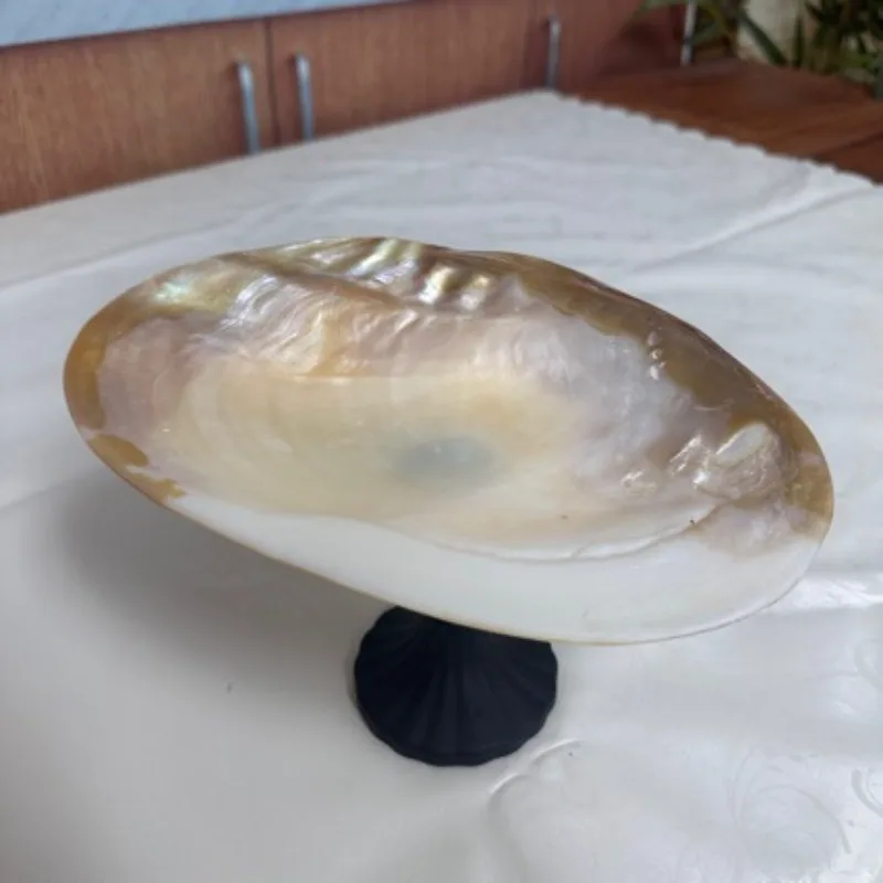 Natural Shell Tray Elevated Display Stand, Luxury Fruit Bowl & Jewelry Holder - 25cm Home Decor Accent Piece, Elegant Gift