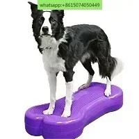 FitPAWS K9FITbone Ball Pet Muscle Fitness Sports Rehabilitation Training Rehabilitation