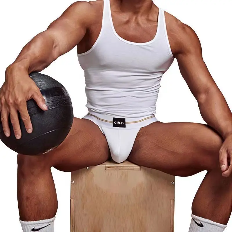 

Men Fashion Sexy Gay Classic Men's Briefs New Male Sleepwear Panties Low Waist Underpants Modal Underwears Briefs