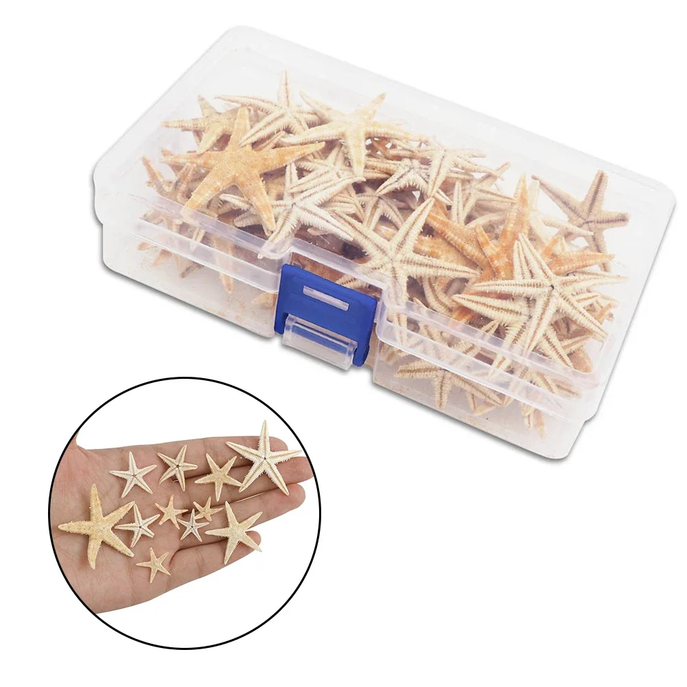 1 Box Starfish Seashell Practical Mixed Starfish Seashell Portable Natural Mixed Reusable Realistic White Star Fish Tank Decor