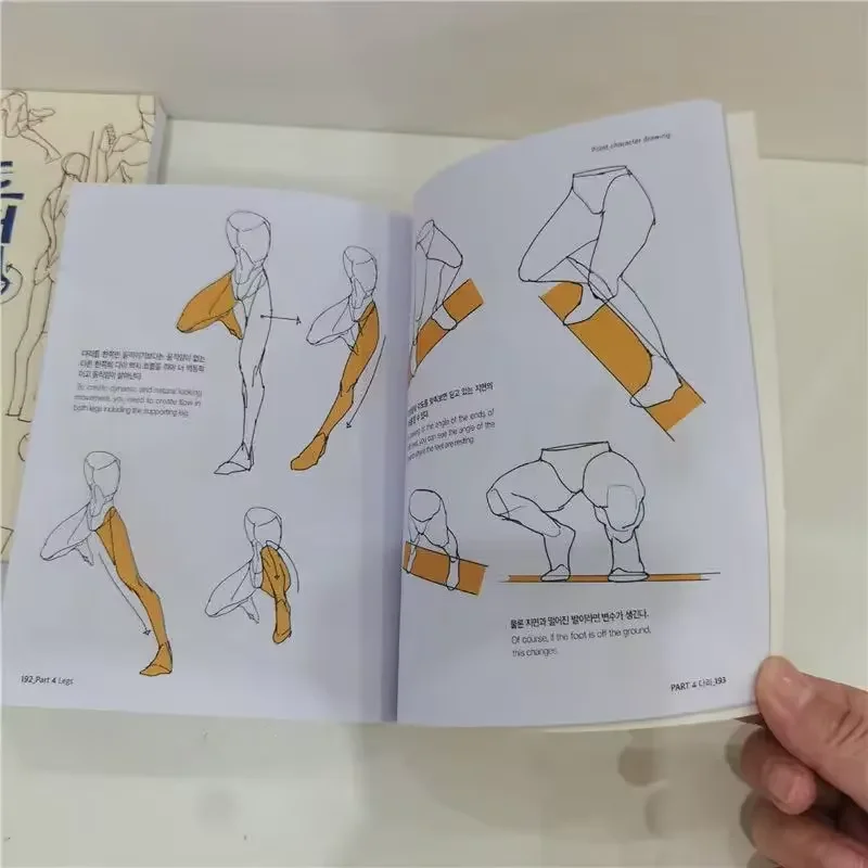 كتاب رسم سري لشخصية الرسام الكوري، كتاب فني، هيكل جسم الإنسان، كتب تقنية مرسومة يدويًا