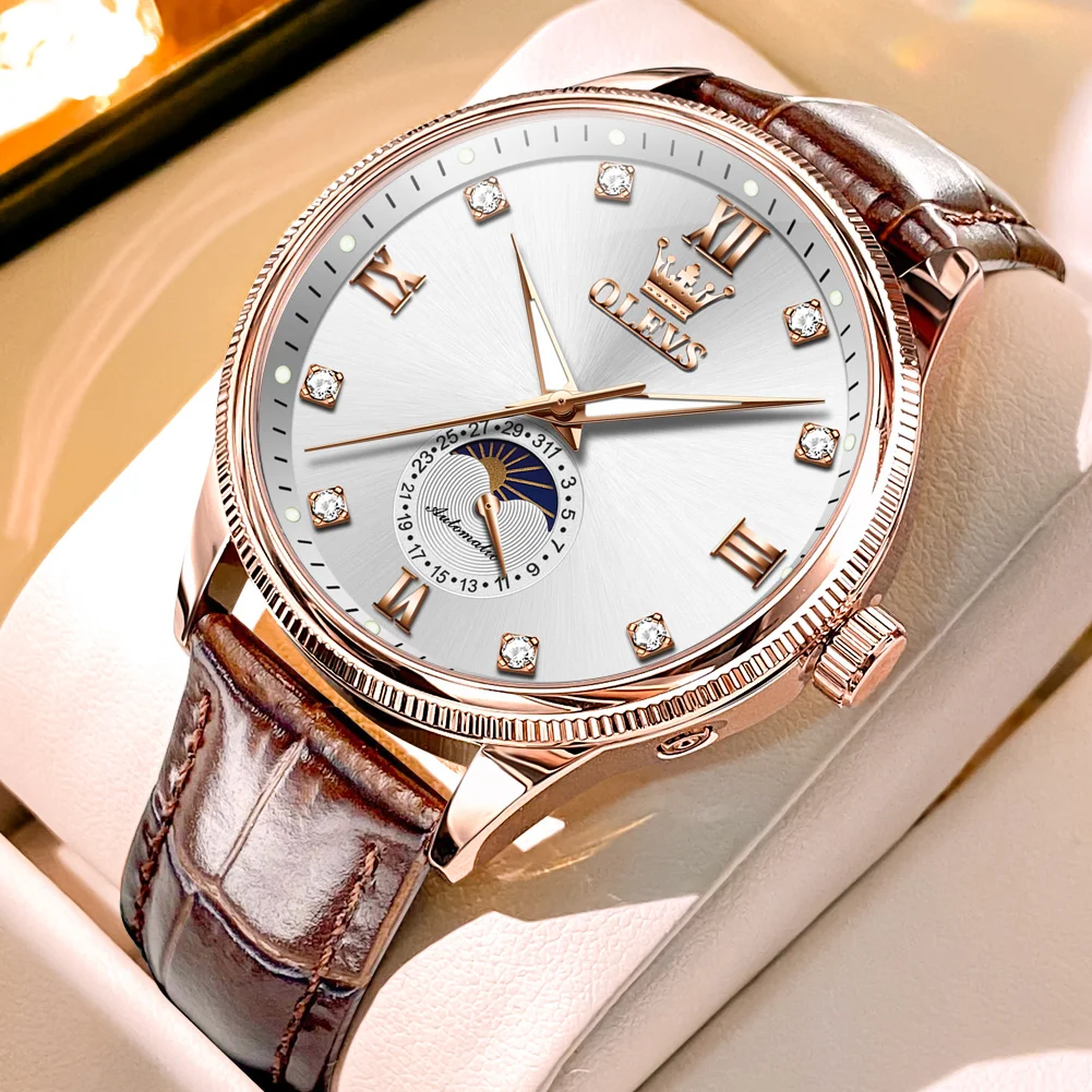 

OLEVS Men's Watches Top Brand Luxury Mechanical Watch for Man Waterproof Leather Strap Luminous Business Men Automatic Watches