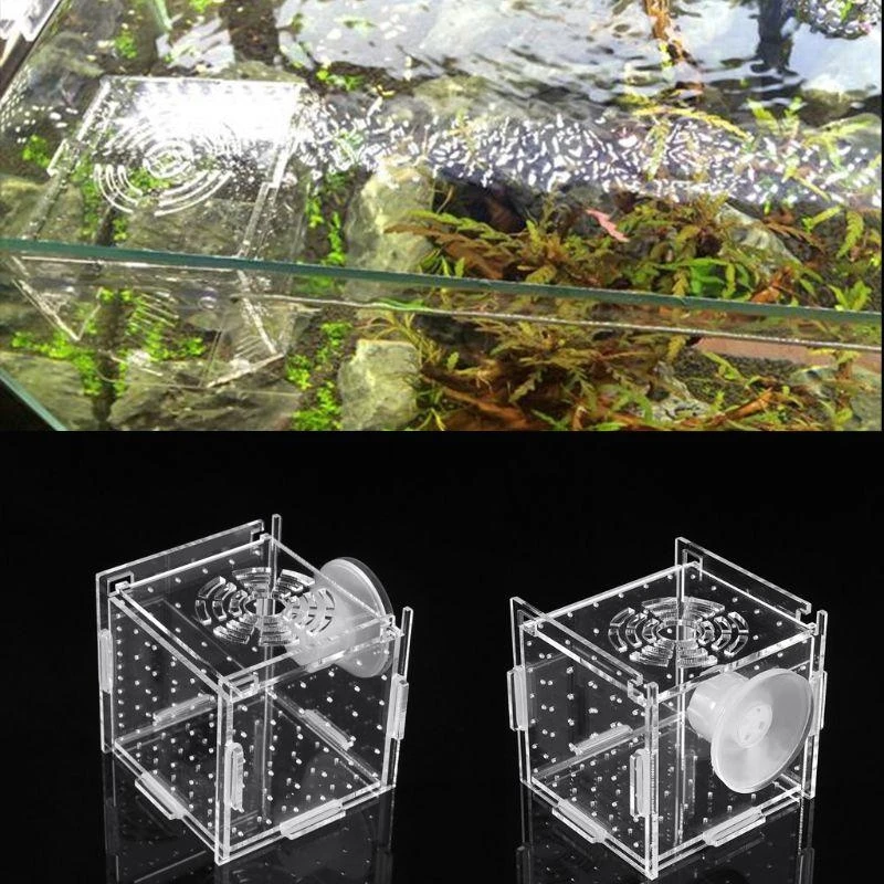 AXYC Aquarium Breeder Box for Fish for Tank Breeding Incubator Small Fish Hatchery Clear Acrylic Divider for Injured Fish 8x8