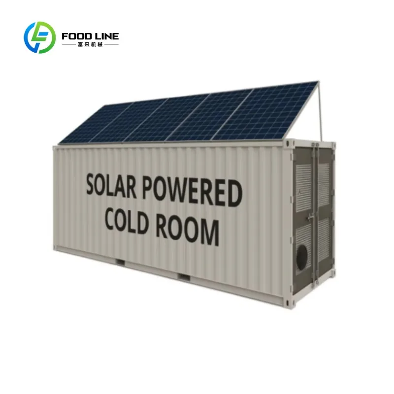 Customized Multi-Function Solar Refrigerated Container Blast Freezer Equipment for Diverse Cooling Needs