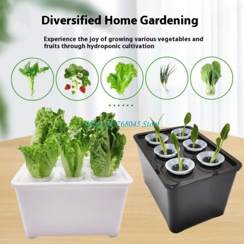 R53F Small Hydroponic Herb Growing Systems Transparents Observation Panel Space Efficient For Beginners