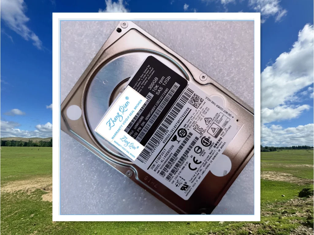 For 00WG685 00WG686 300G SAS 10K 2.5 12GB server