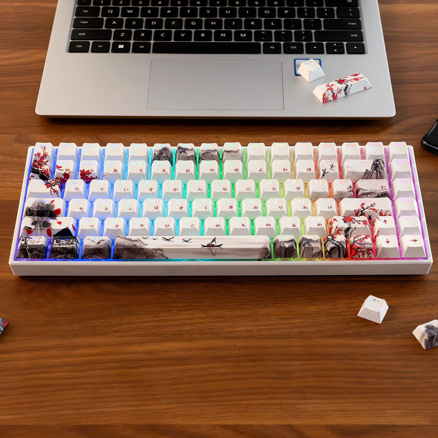 

Landscape plum blossom theme Japanese mechanical keyboard keycaps OEM highly translucent keycaps for MX switches