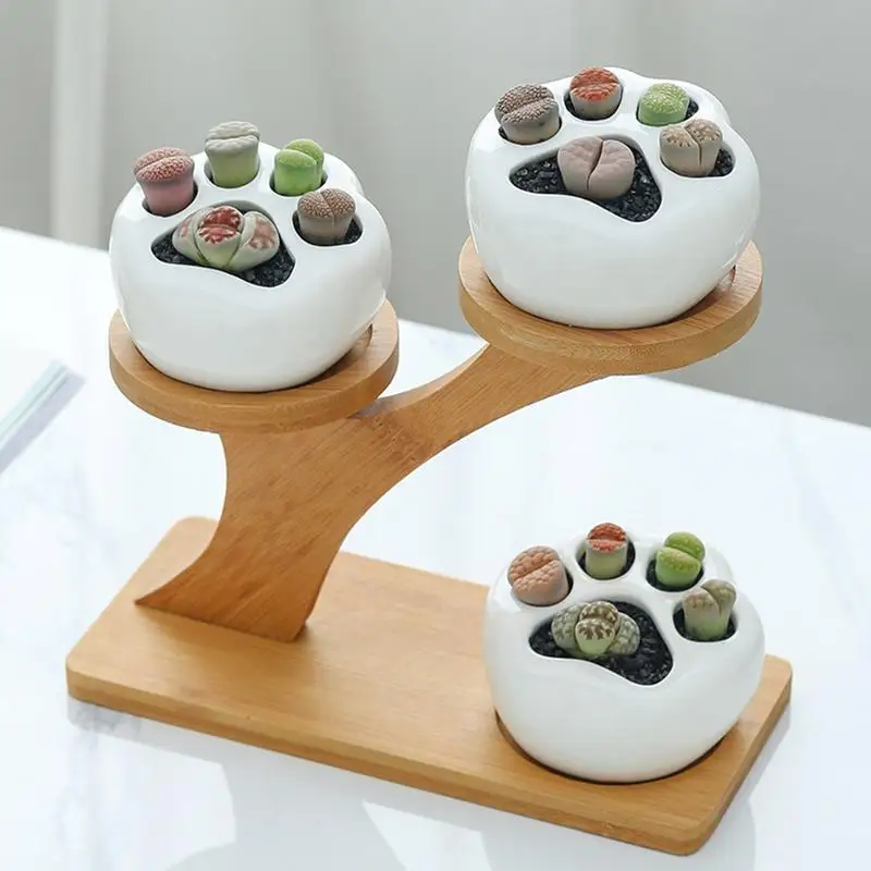 Succulent Pots Planter Pots Indoor with Drainage Ceramic Succulent Planter for Garden Kitchen Home Desk Decorations