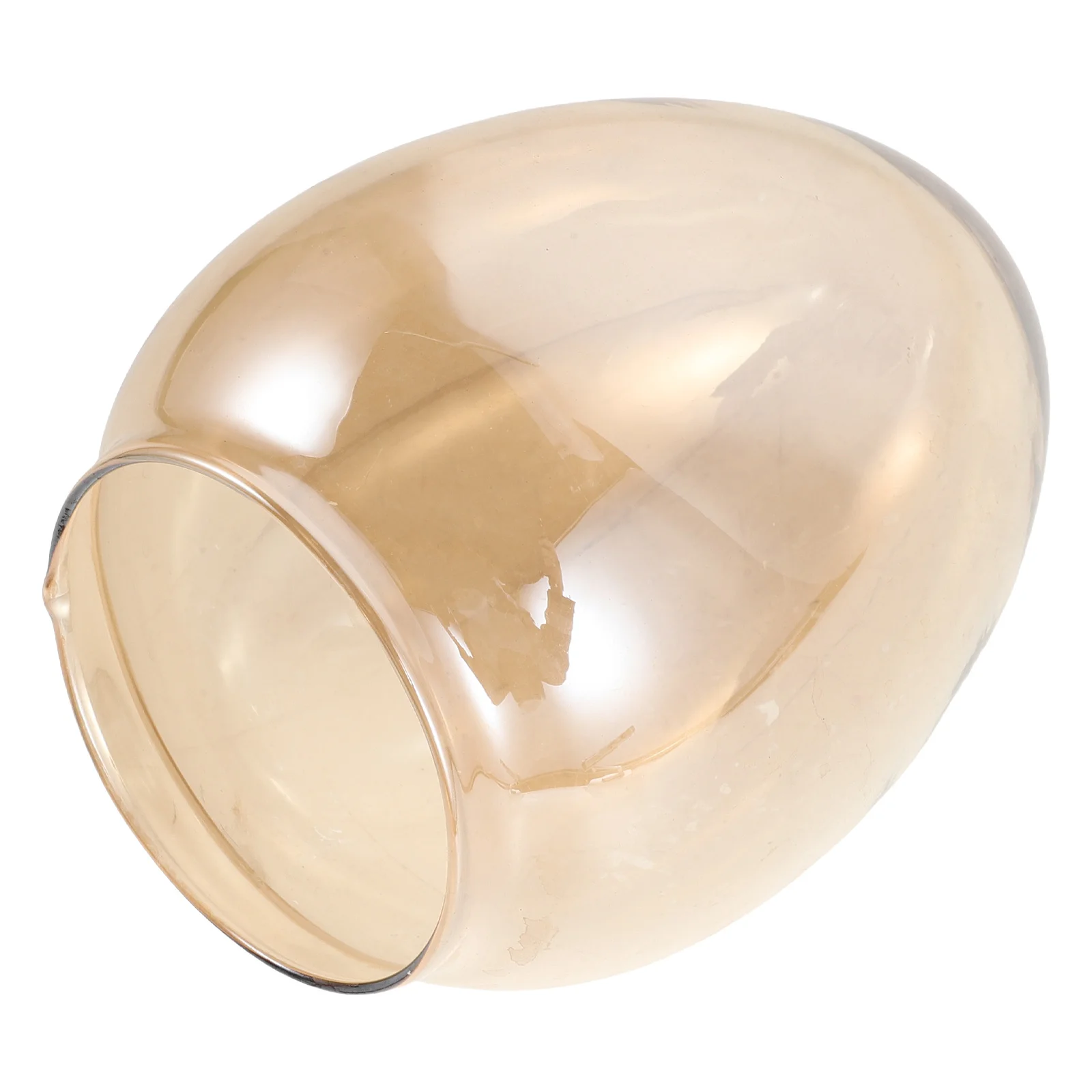 

Egg Shaped Transparent Glass Dome Clear Craft Snow Globe Cover for DIY Snow Globe Supplies Festive Decorations Home Centerpiece