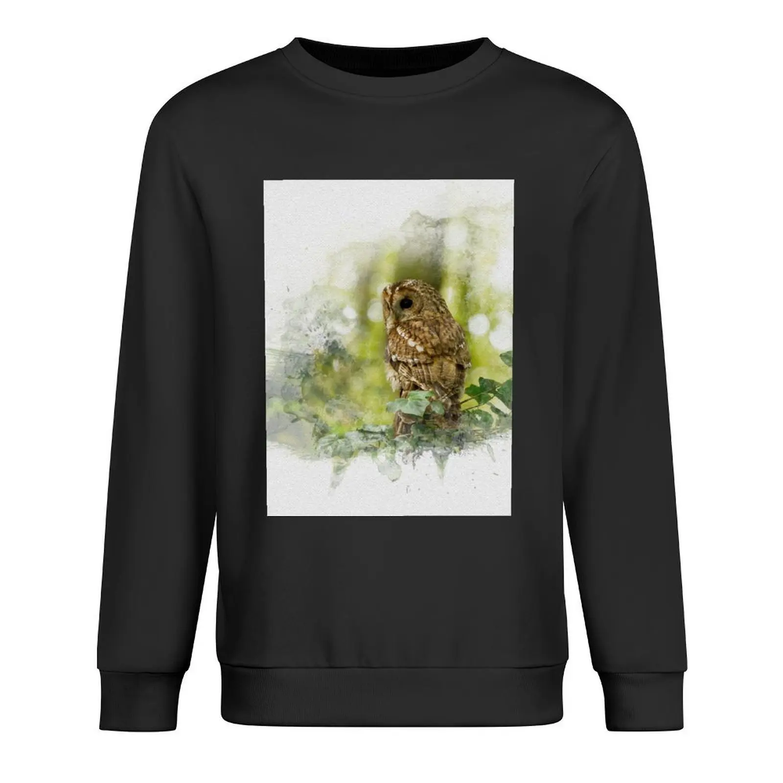 

Tawny Owl Watercolour Photograph. Pullover japanese style mens clothing aesthetic clothing korean clothes men's sweatshirts