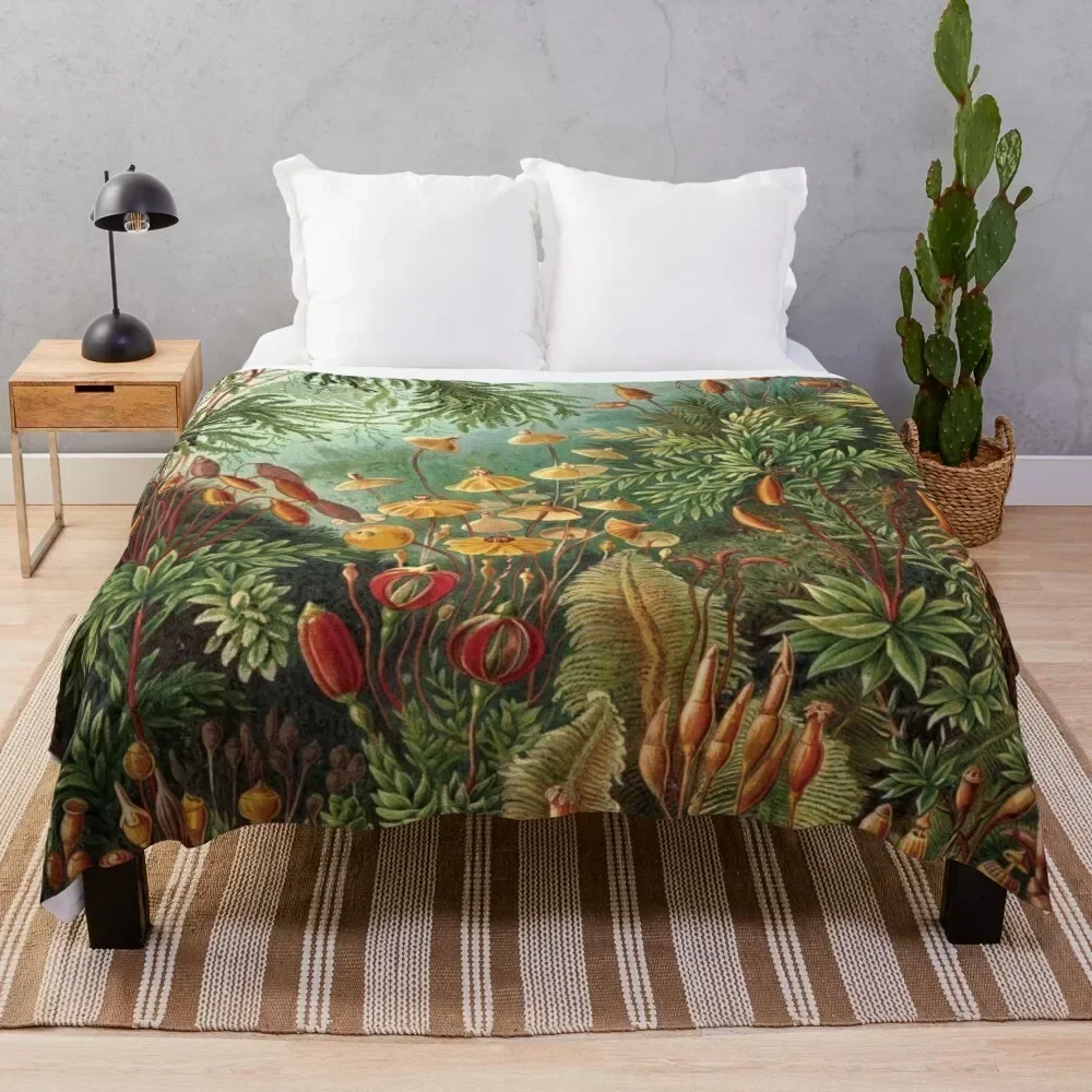 

Haeckel Muscinae Drawing Throw Blanket Warm Throw Blanket Gift for Anniversary