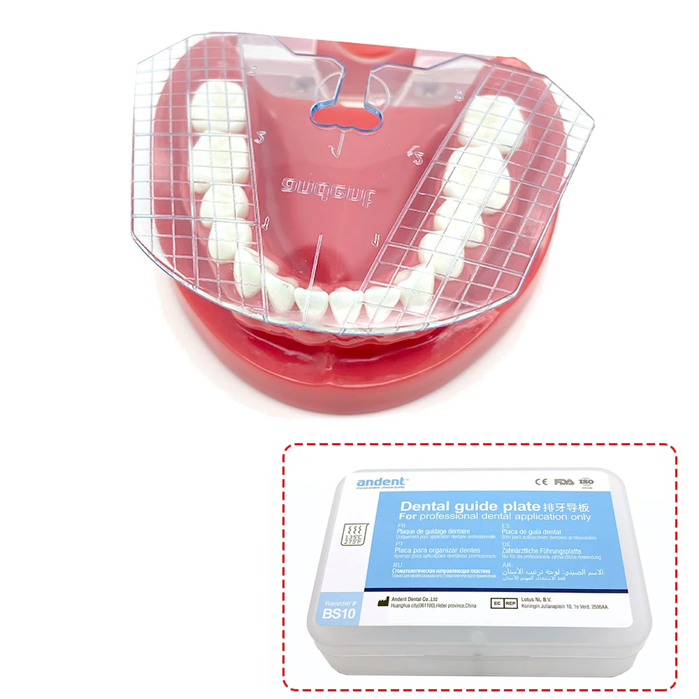 Dental Guide Plate Arrangement on Denture for Complete Denture Alignment Dental Lab Measurement Tools Transparent Blue ﻿