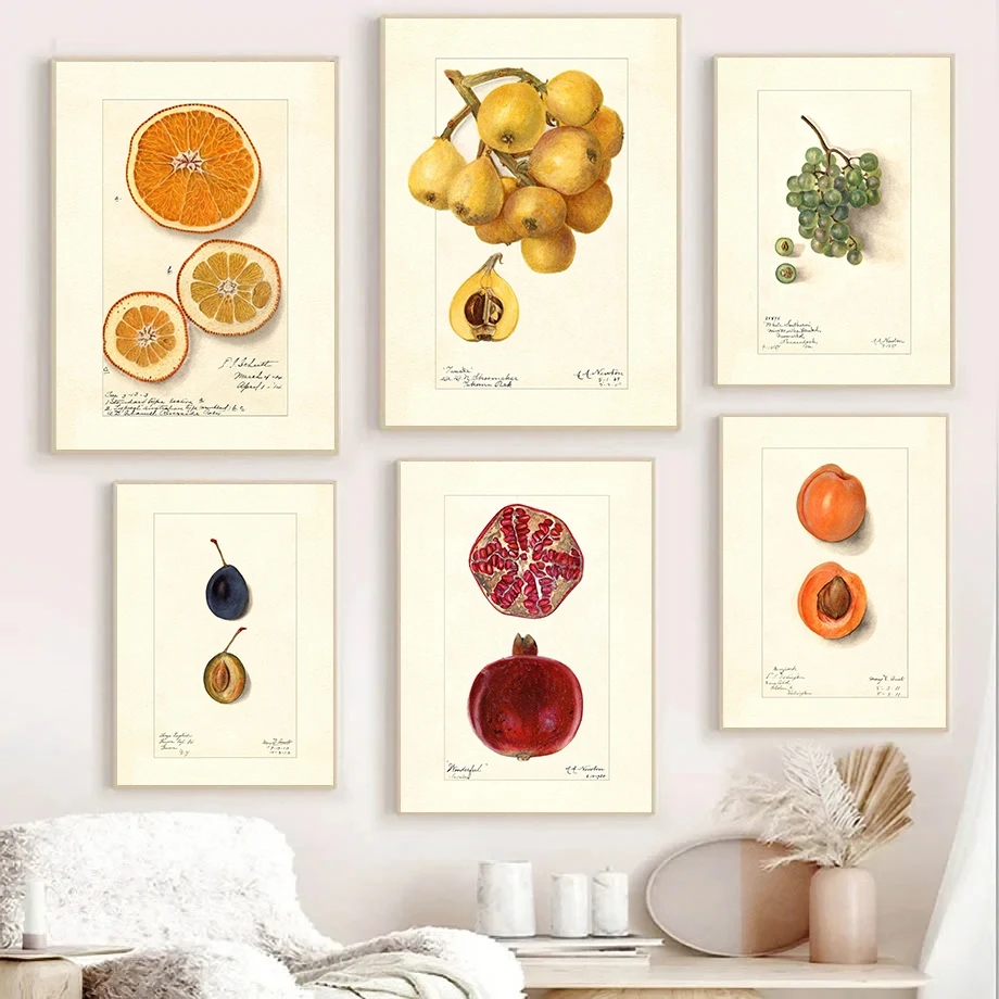 Vintage Vegetable Fruit Pomegranate Orange Cherry Posters Prints Canvas Painting Wall Art Picture Kitchen Home Decor