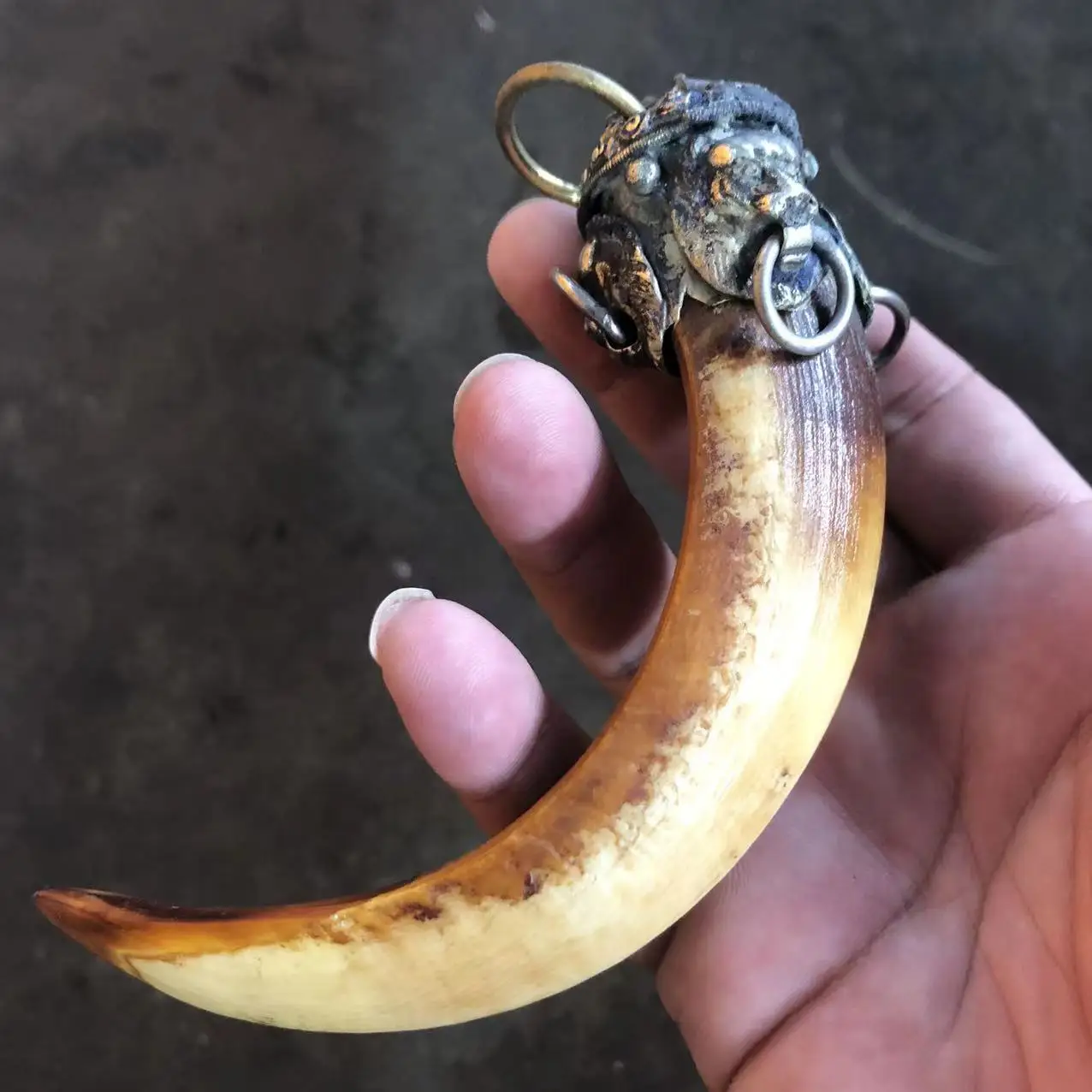 Vintage Chinese Wild Boar Tooth Pendant, Tibetan Silver Inlay Lion Beast, Amulet Home Decor Antique Collection