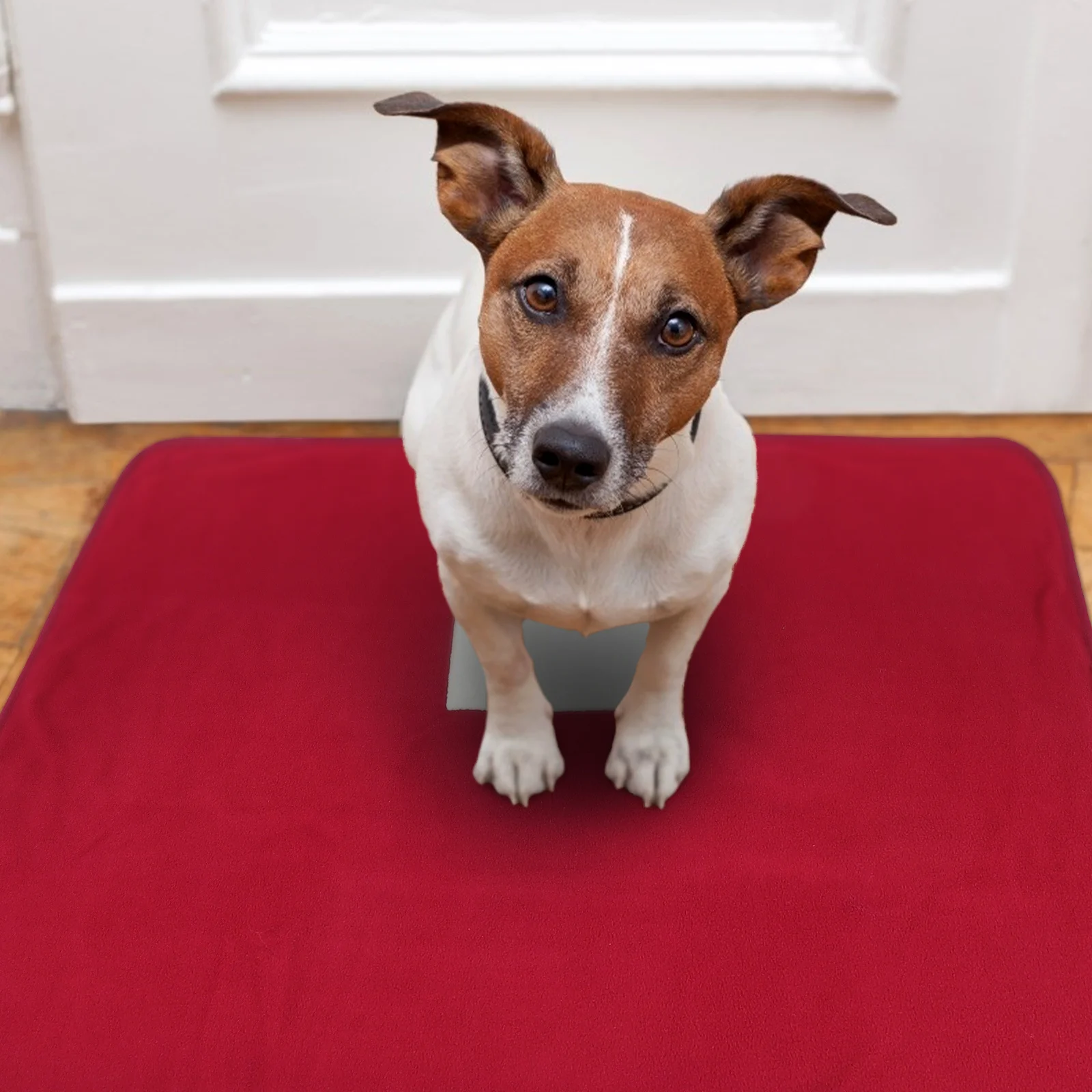 

Pet Heating Pad Electric Warm Cushion for Home Pet Sleeping Mat USB Heater Dog Cat Warmer Mat Winter Heating Cushion