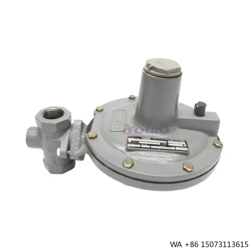 Brand New High Pressure Direct Operated Pressure Reducing Regulator for Y690AH Y690AM In Stock