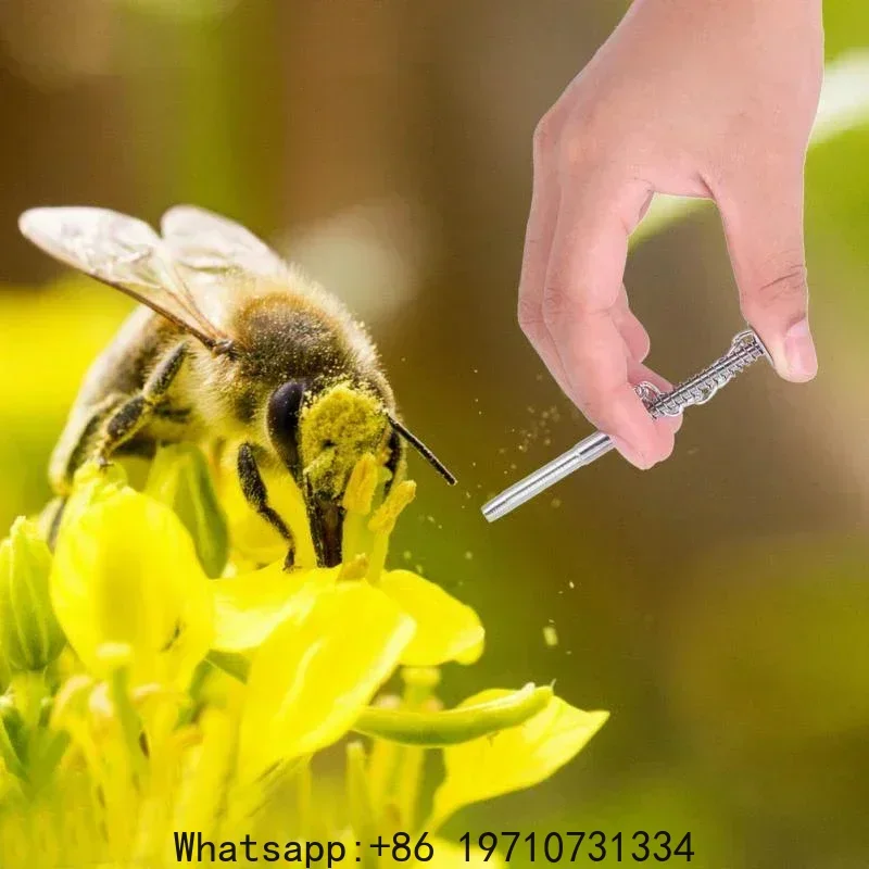 10 PCS Stainless Steel Bee Pollen Grip Sucking Collector Tool Bee Pollen Collector Bee Beehive Equipment Beekeeping Tools