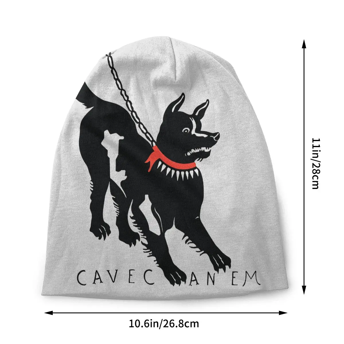 Cave Canem Beware Of Dog Unisex Bonnet Thin Running Hats Skullies Hat Breathable Caps