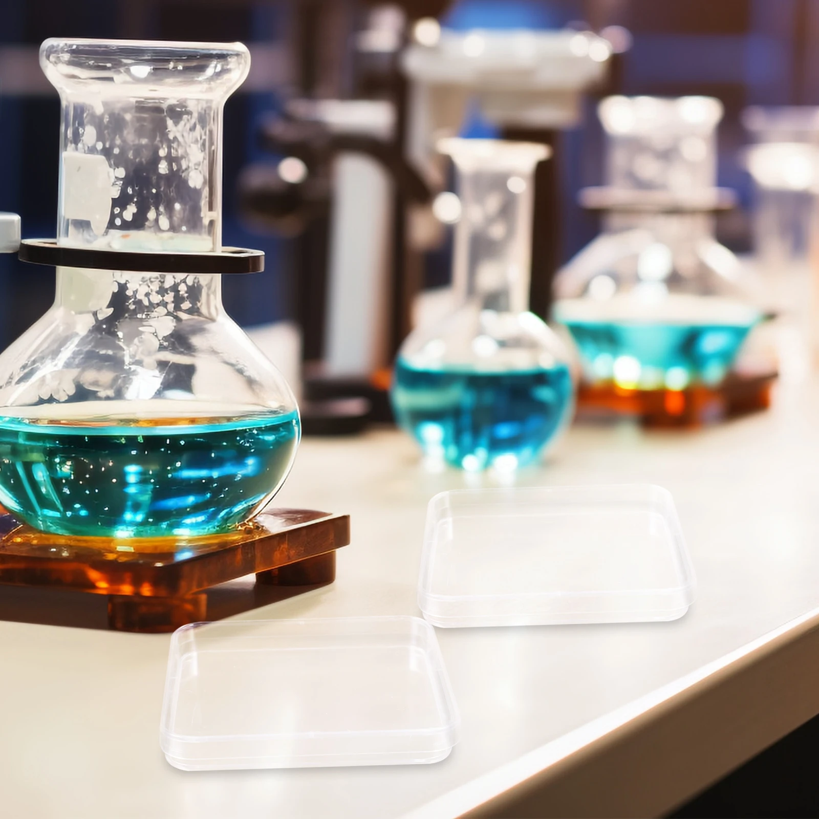 

10Pcs Plastic Petri Dishes Smooth Transparent Culture Dishes for Research Lab Equipment Storage and Field Study Use