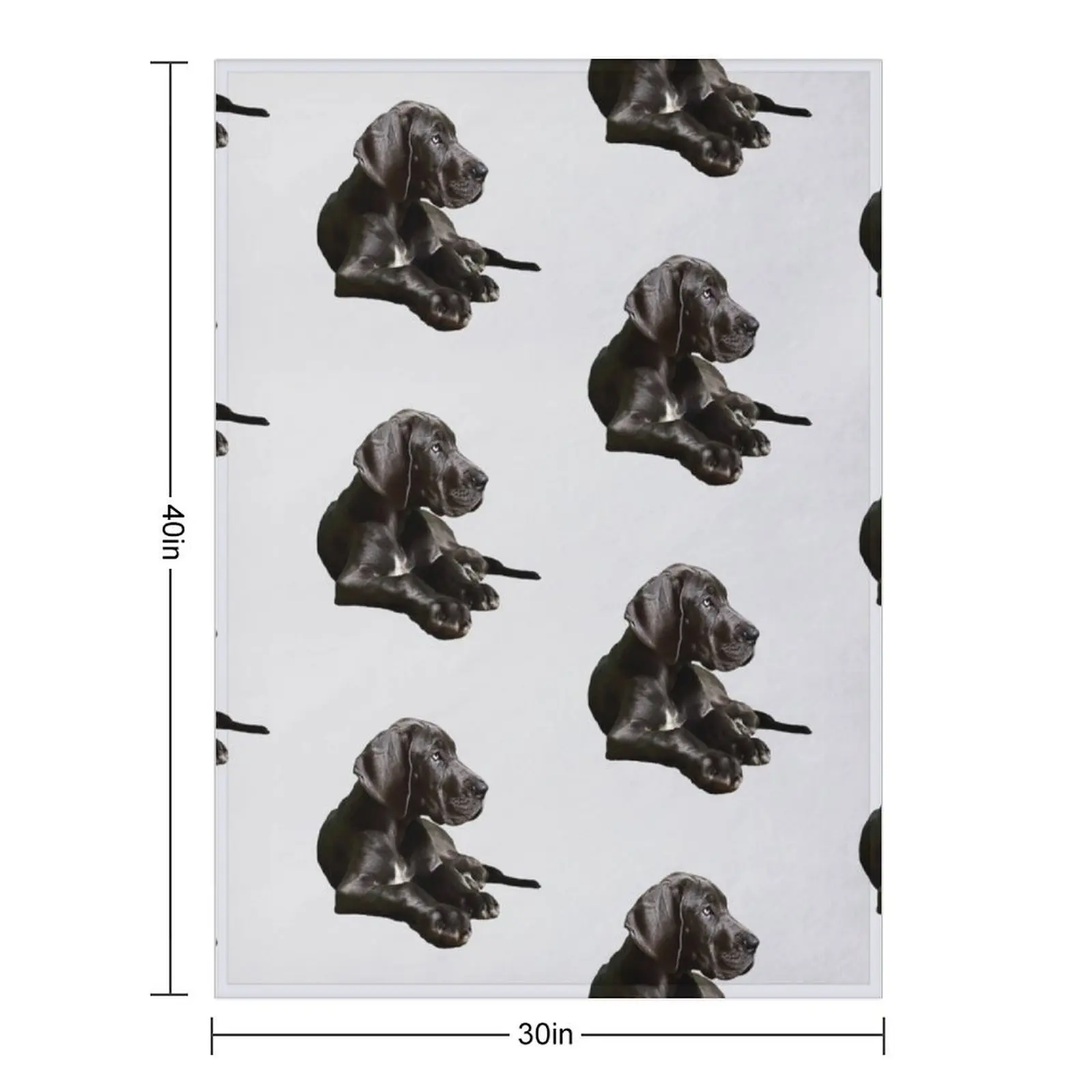 بلاك جريت داني - جمال رائع! رمي بطانية سرير مزخرفة، بطانيات مصممي الأريكة المزخرفة والبطانيات #2