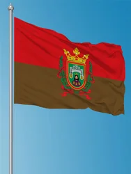 FLAGDOM 3X5Fts  90X150cm Bandera de la ciudad de Burgos Outdoor decorative banner Historical Flag of Spain