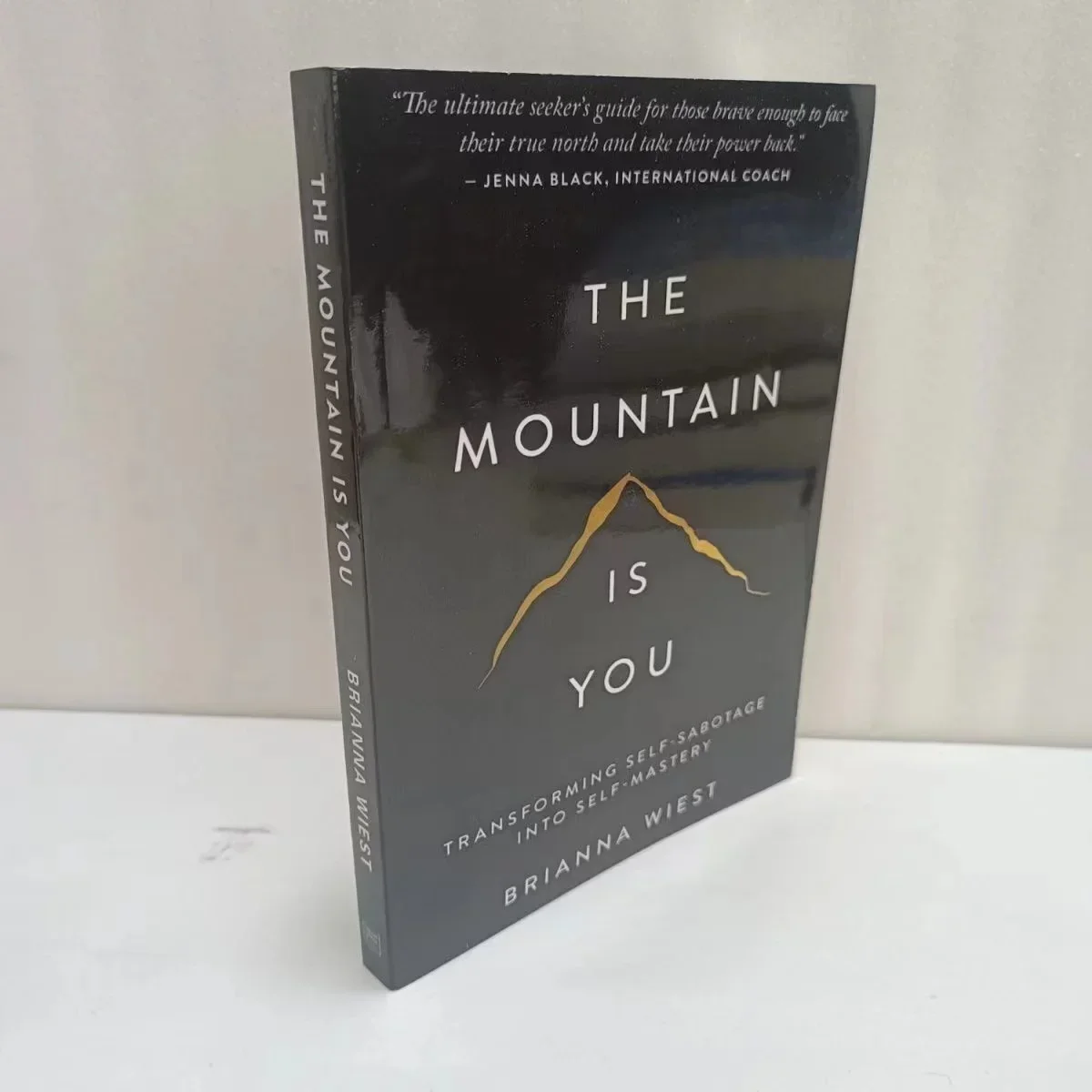 The Mountain Is You Paperback Romance Inglês
