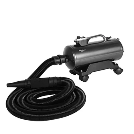 

Shernbao DHD-2400T The Best Blowers For Drying A Car