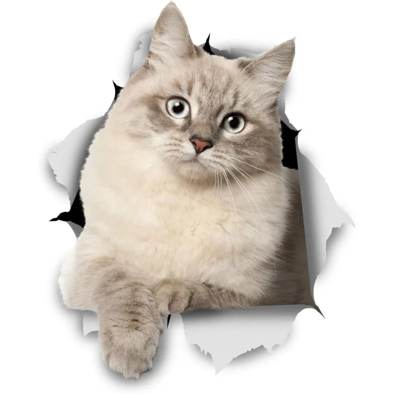 3D Cat Stickers  Siberian Kitty Cat Decals for Wall - Stickers for Bedroom  Fridge  Toilet  Room  Retail Packaged 15CM PVC KK