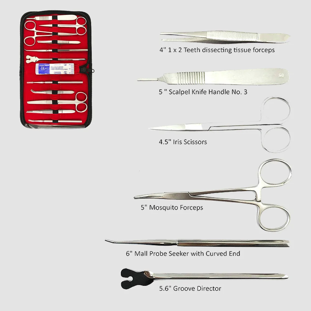 

Stainless Steel Anatomy Dissection Tool Set 22pcs Includes Probe Scissors Forceps for Teaching and Student Experiments