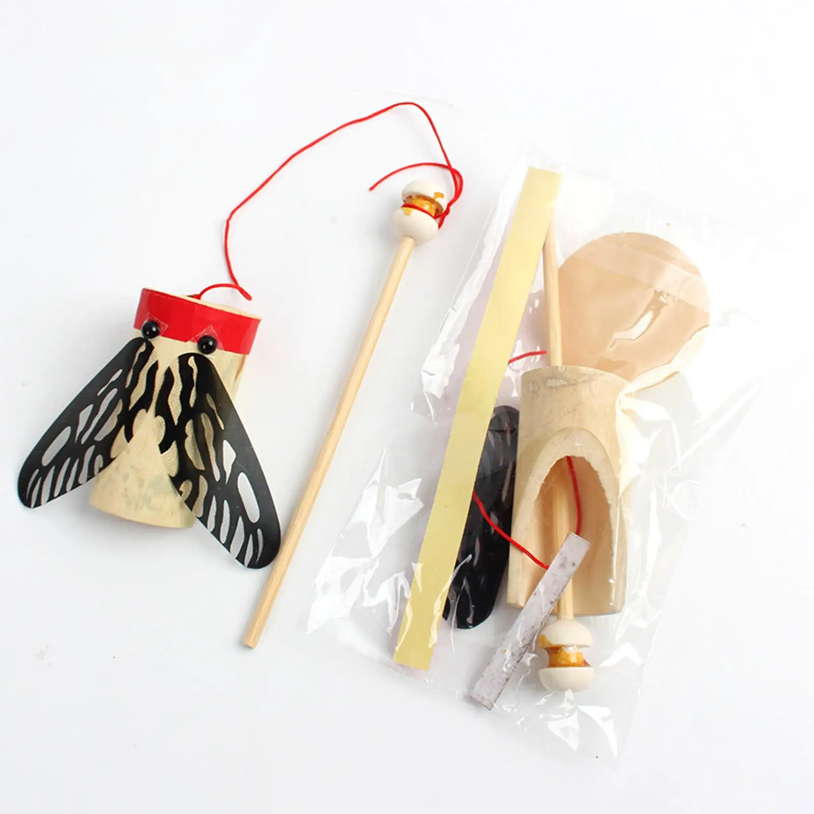 Early Childhood Education Cicada Sound Toy for Kids DIY Science Experiment Bamboo Learning Montessori Teaching Aid Creative Gift