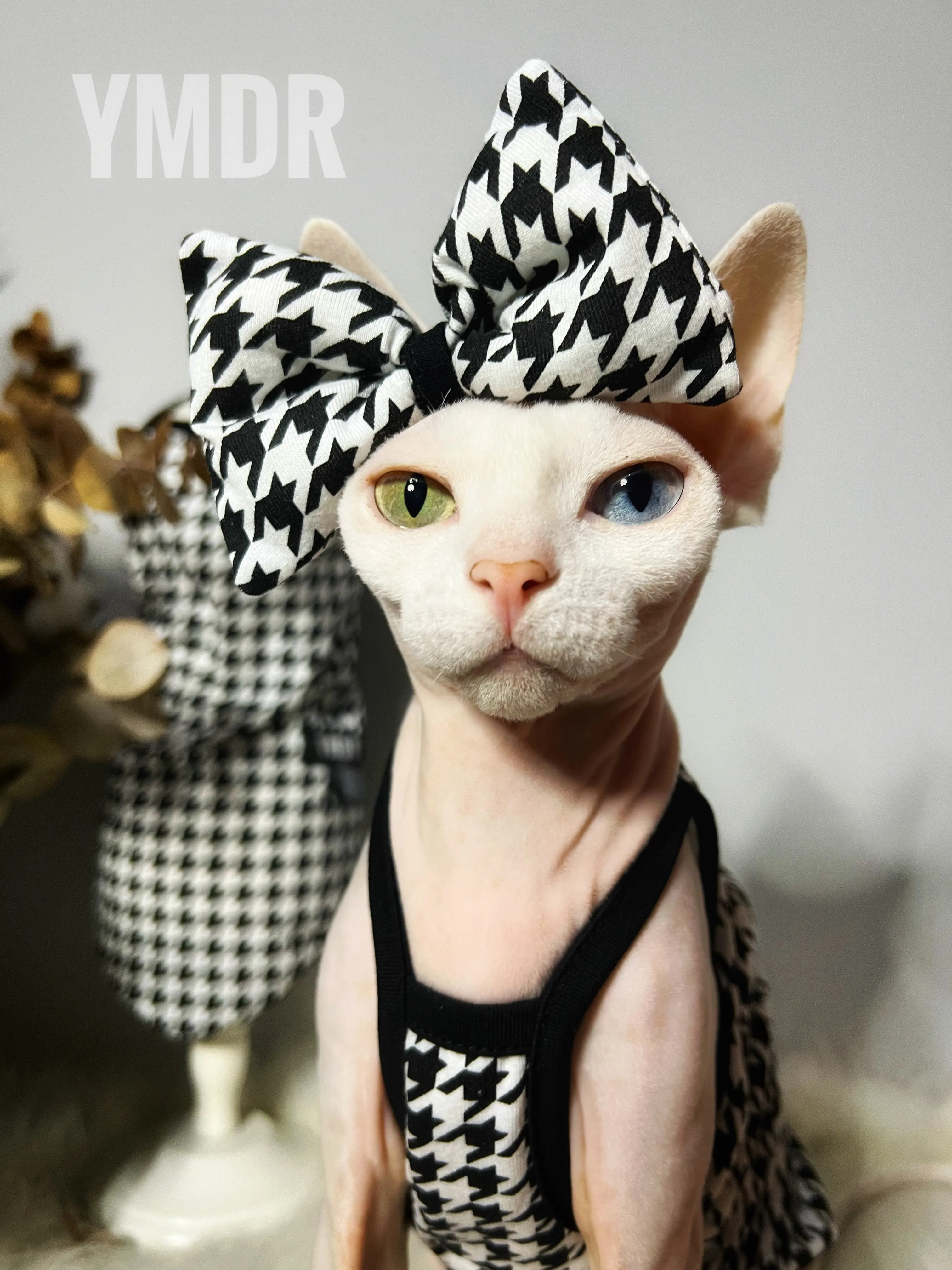 Summer Cotton Vest Hat Suit for Sphynx Cat Cooling Fashion Black Plaid Coat with Bowknot for Kittens Spring for Devon Rex