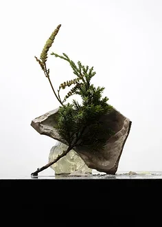 4 pezzi chiave 3/3.2/3.5/3.7/4/5/5.5/6mm tenditore dado sfera rimozione giunto strumento universale per RC auto drone barca